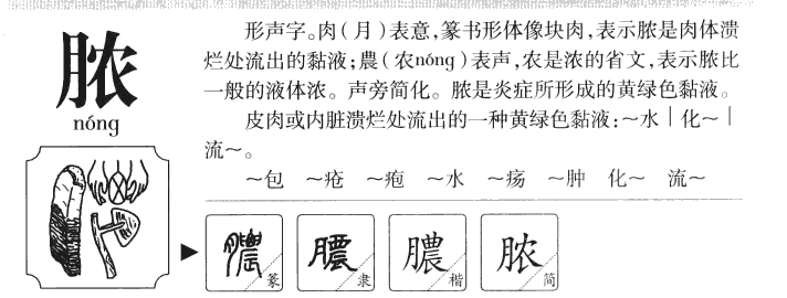 脓字字源字典