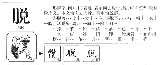 脱字字源字典