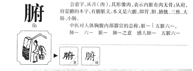 腑字字源字典