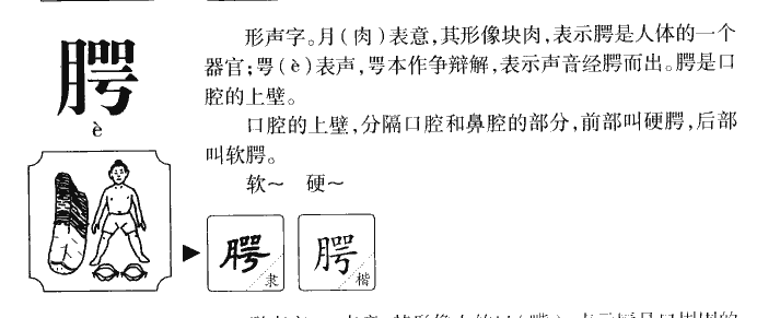 腭字字源字典