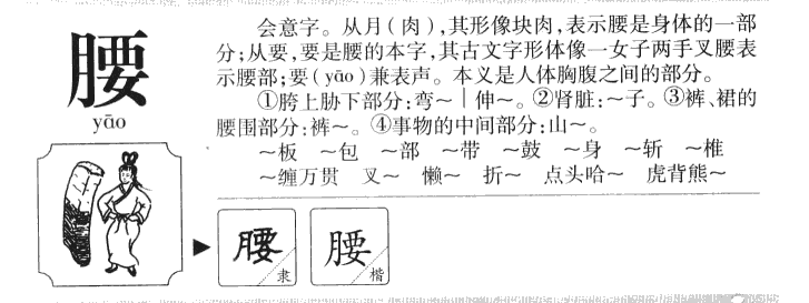 腰字字源字典