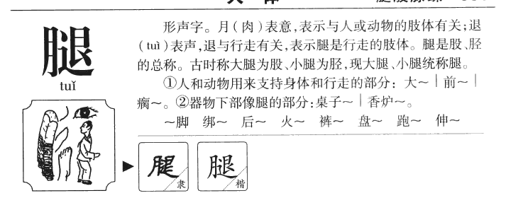 腿字字源字典