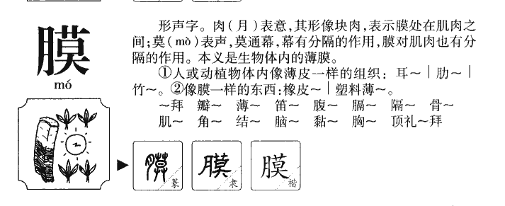 膜字字源字典