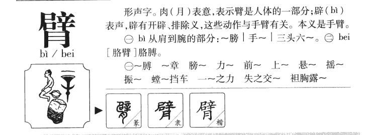 臂字字源字典