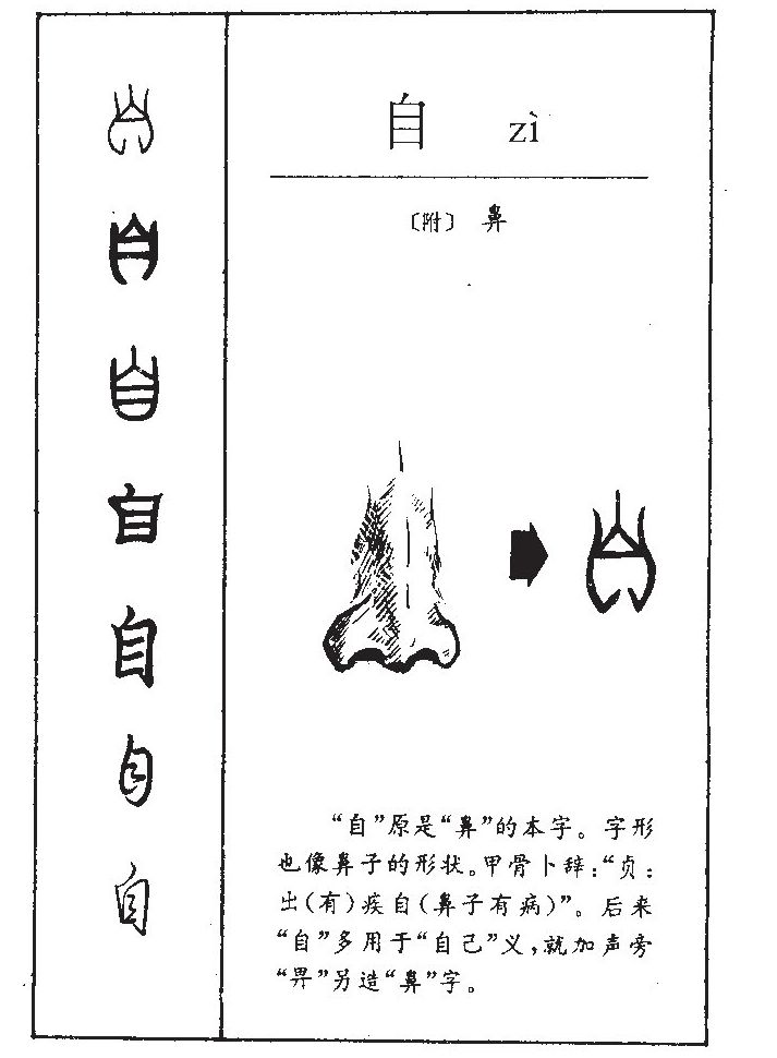 自字字源字典