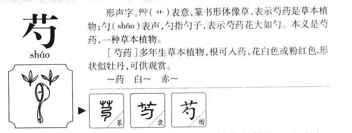 芍字字源字典