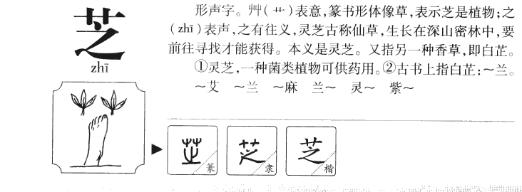 芝字字源字典