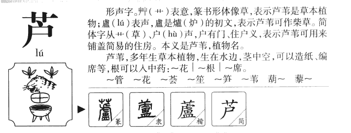 芦字字源字典