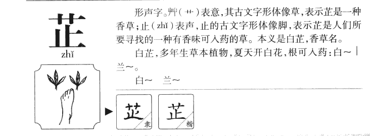 芷字字源字典