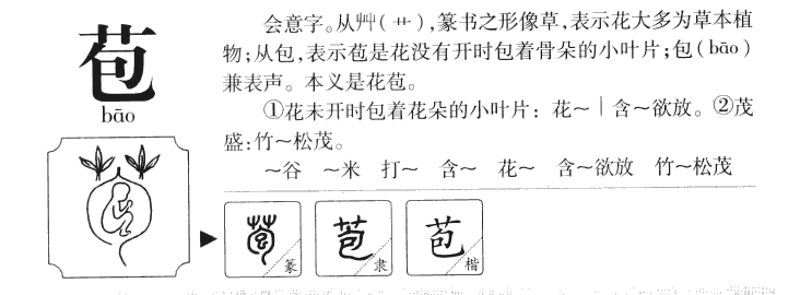 苞字字源字典