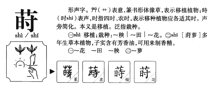 莳字字源字典