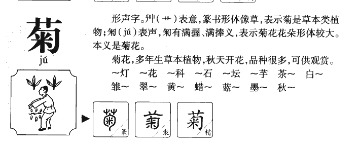 菊字字源字典