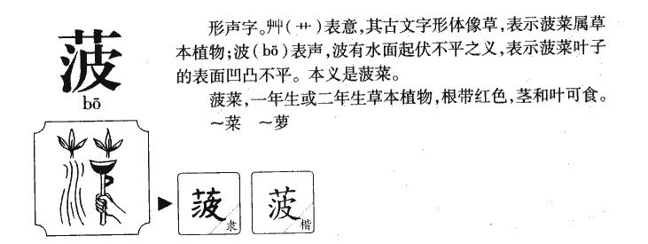 菠字字源字典