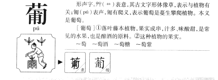 葡字字源字典