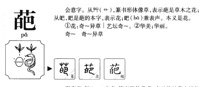 葩字字源字典