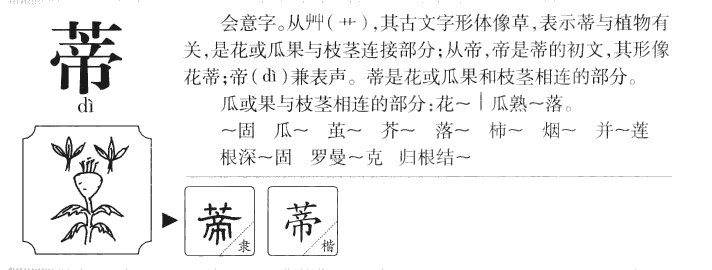 蒂字字源字典