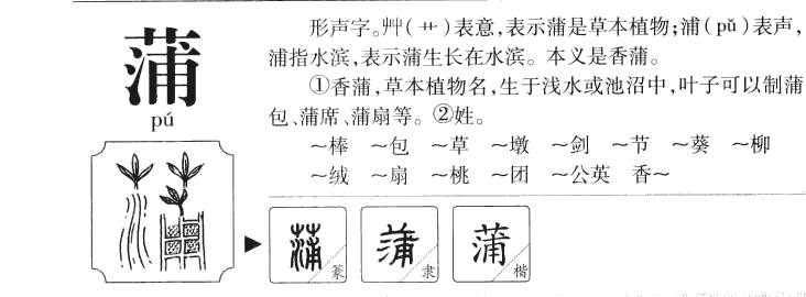 蒲字字源字典