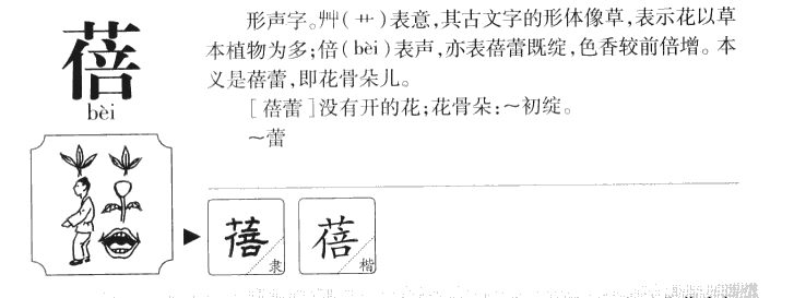 蓓字字源字典