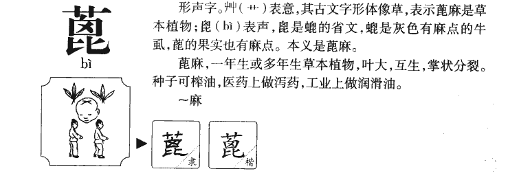 蓖字字源字典