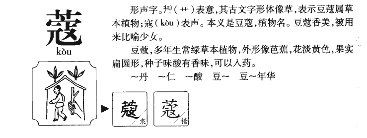 蔻字字源字典