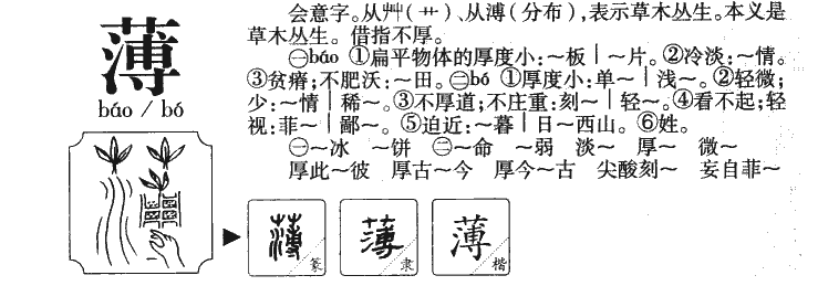 薄字字源字典