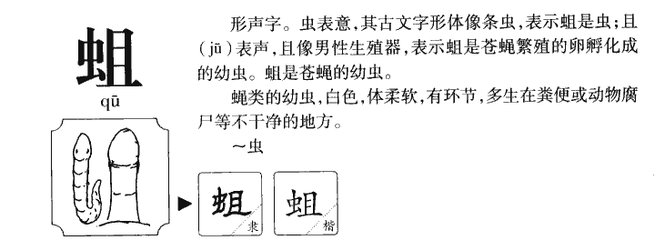 蛆字字源字典