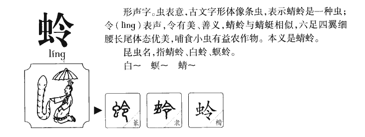 蛉字字源字典