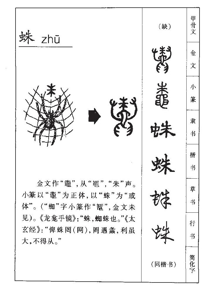 蛛字字源字典