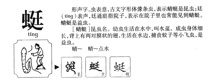 蜓字字源字典