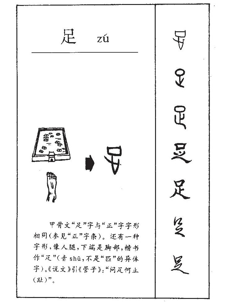 足字字源字典