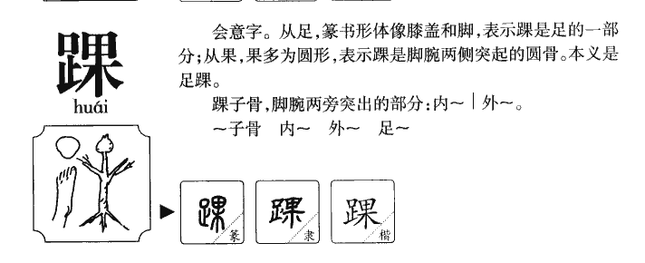 踝字字源字典