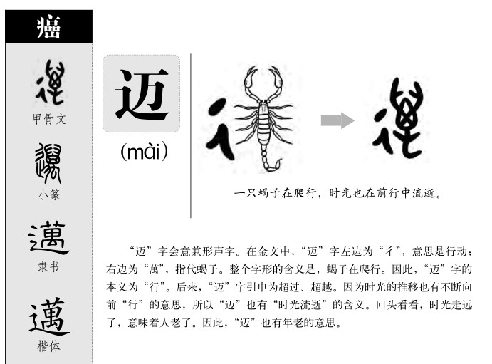 迈字字源字典