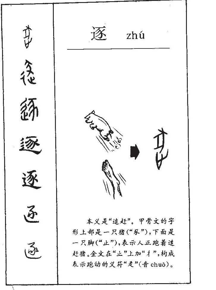 逐字字源字典