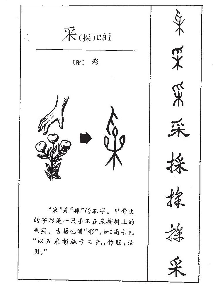 采字字源字典