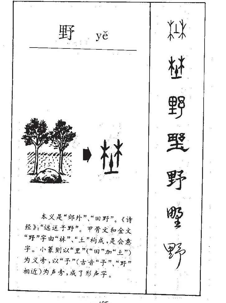 野字字源字典