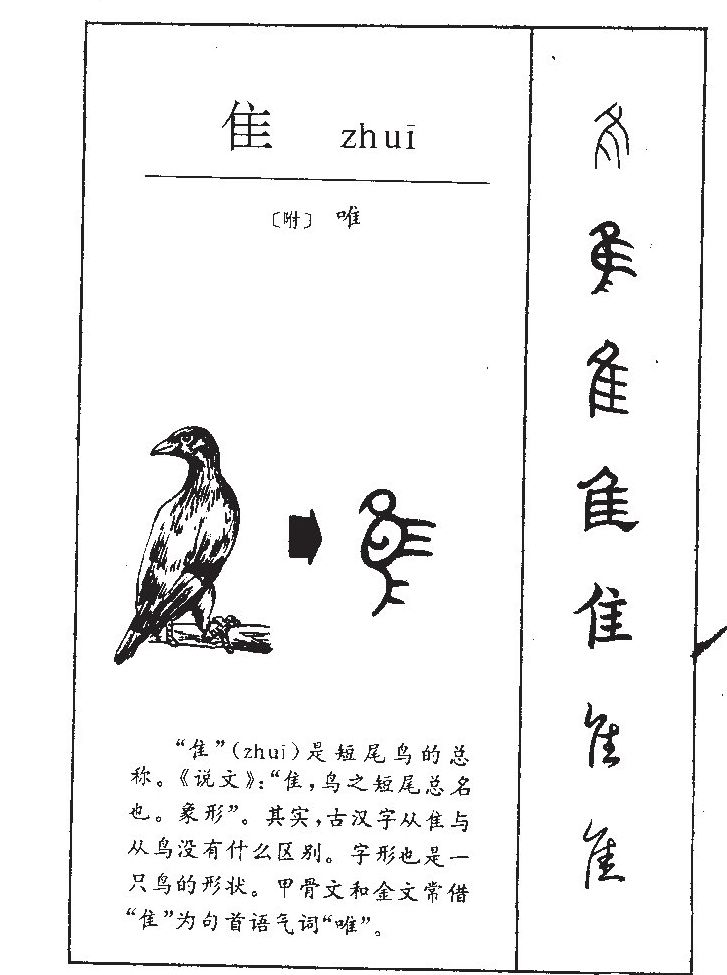 隹字字源字典