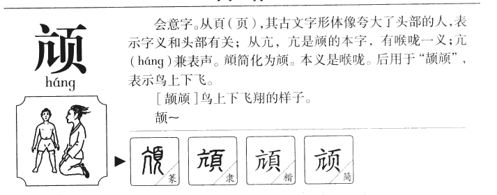 颃字字源字典