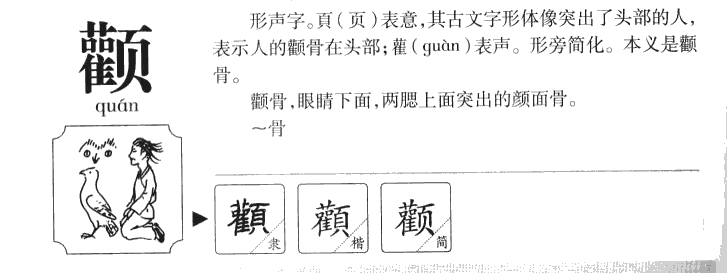 颧字字源字典