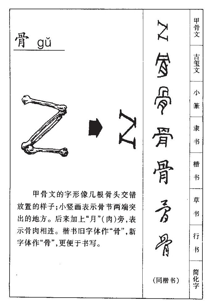 骨字字源字典