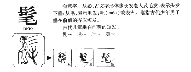 髦字字源字典