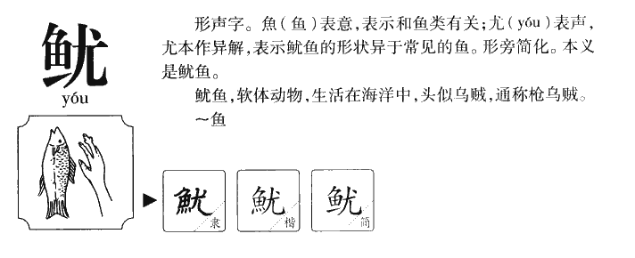 鱿字字源字典