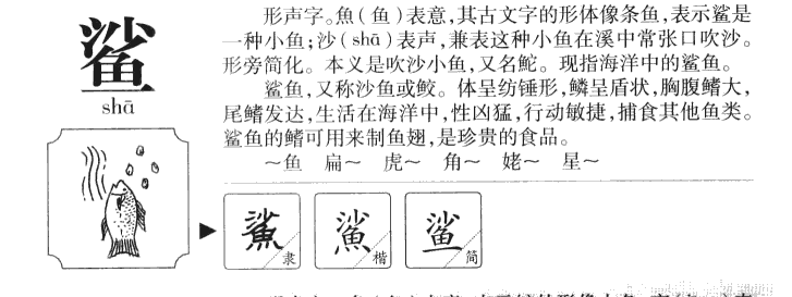 鲨字字源字典