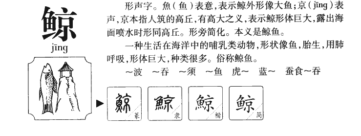 鲸字字源字典