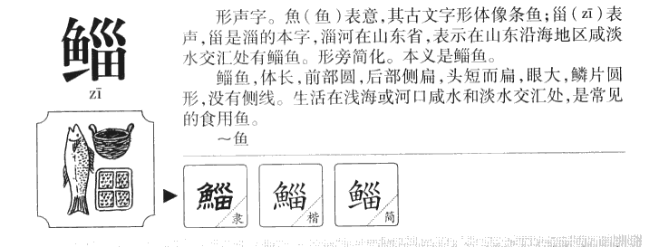 鲻字字源字典