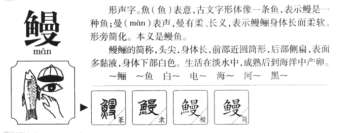 鳗字字源字典