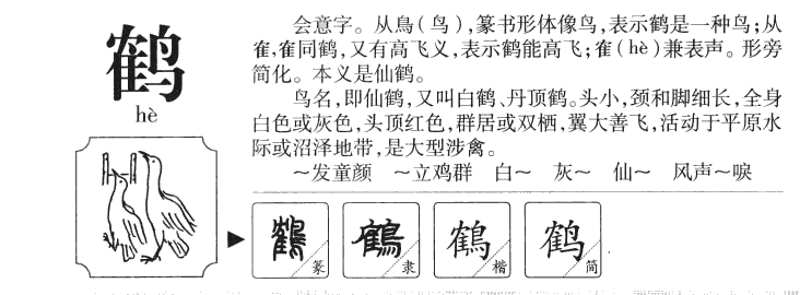 鹤字字源字典