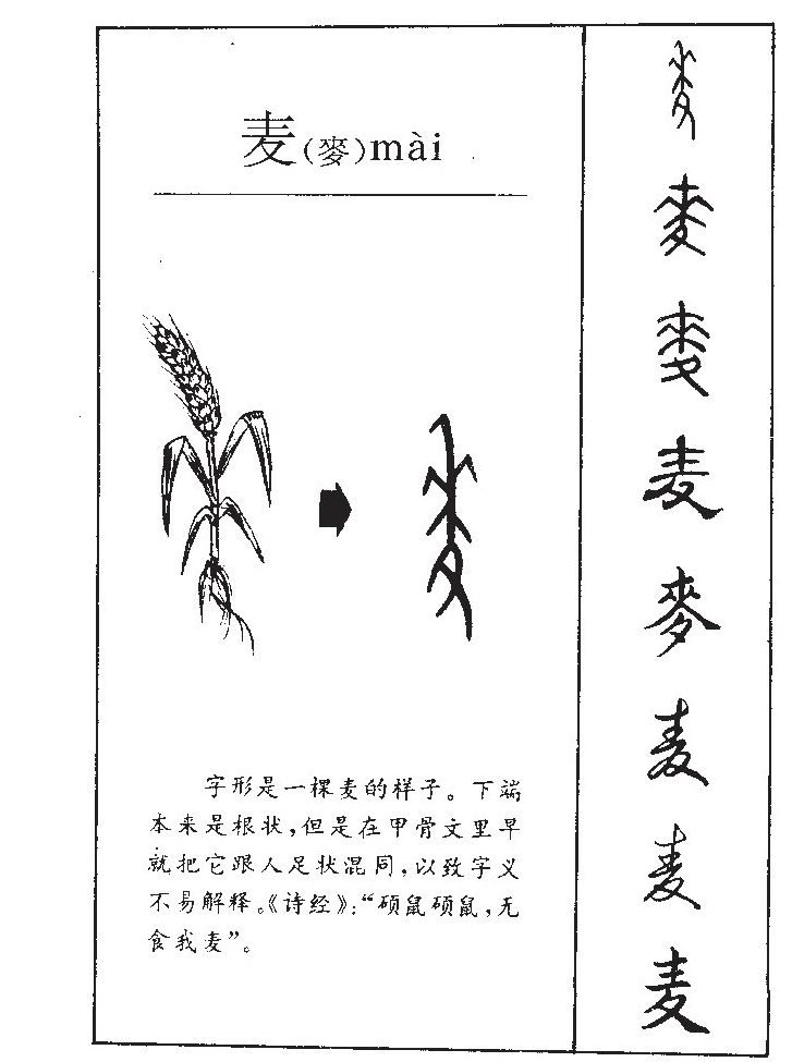 麦字字源字典