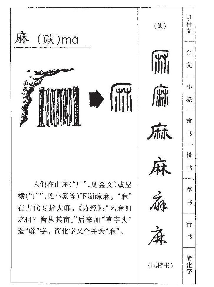 麻字字源字典