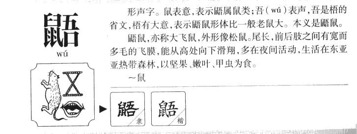 鼯字字源字典