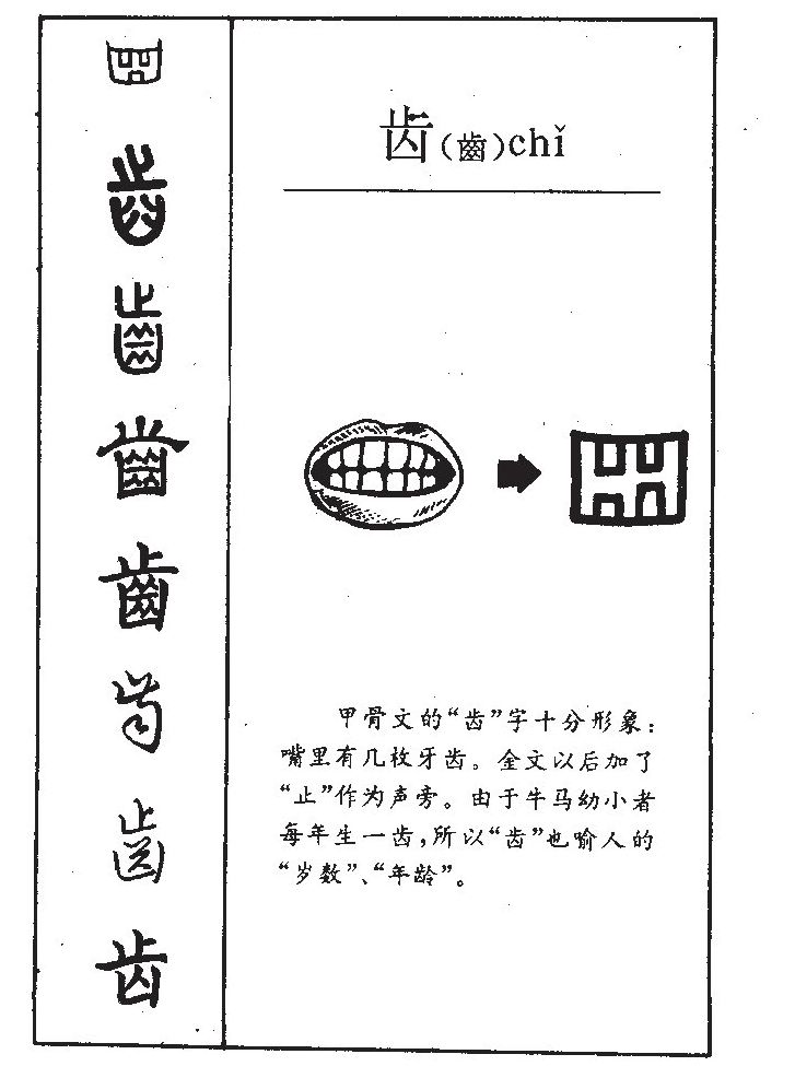 齿字字源字典